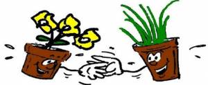 b2ap3_thumbnail_troc-plantes.JPG